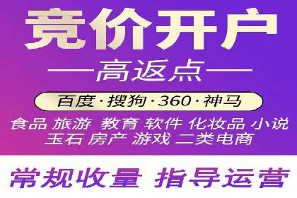 某电商平台的SEM关键词策略及成效分析